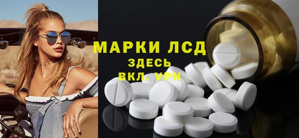 индика Верхний Тагил