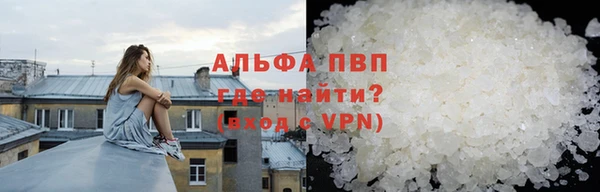 индика Верхний Тагил