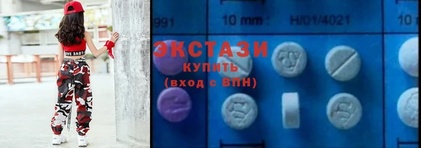 индика Верхний Тагил
