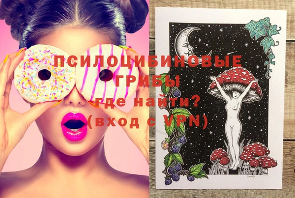индика Верхний Тагил
