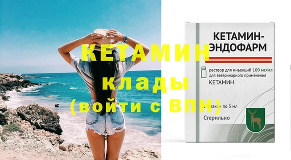 индика Верхний Тагил