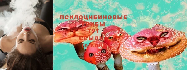 индика Верхний Тагил