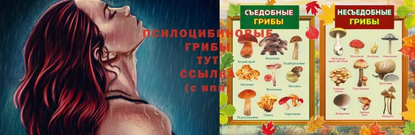 индика Верхний Тагил