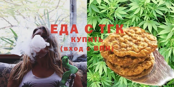 индика Верхний Тагил