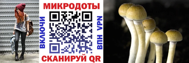 shop состав  что такое   Славянск-на-Кубани  Галлюциногенные грибы Psilocybe 
